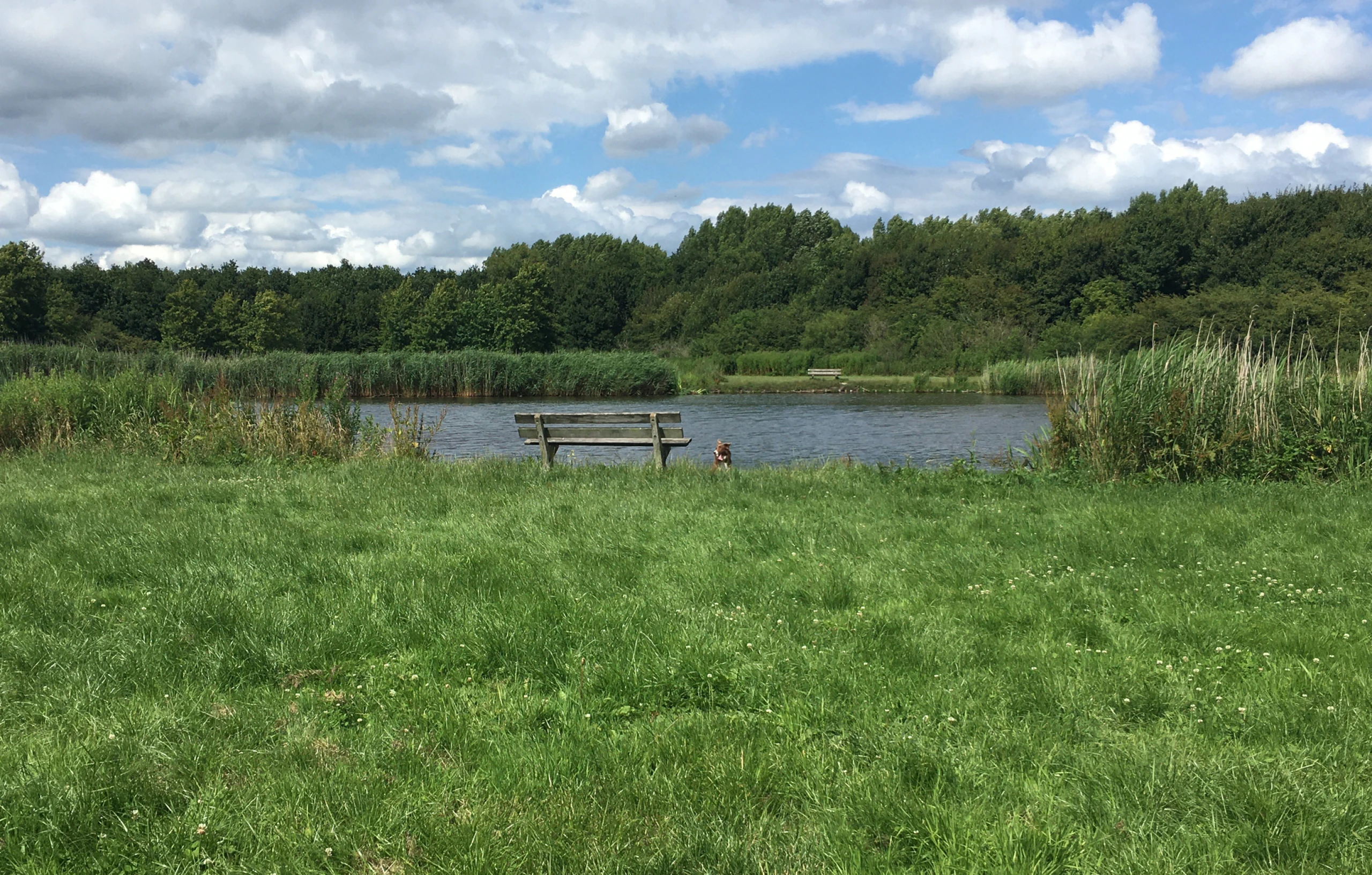 Duurzaamheid