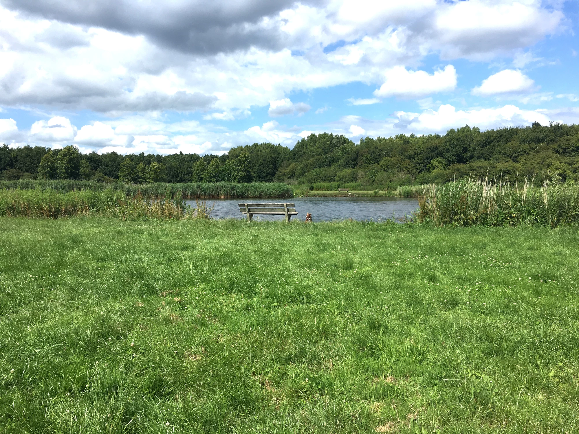 Duurzaamheid
