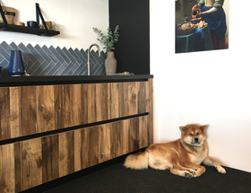 Showroom