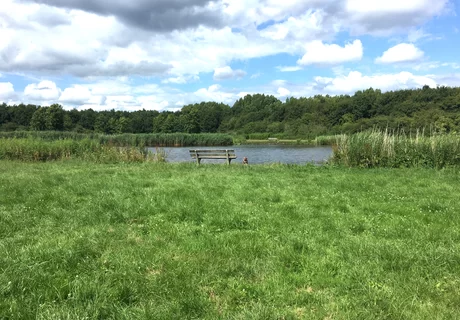 Duurzaamheid