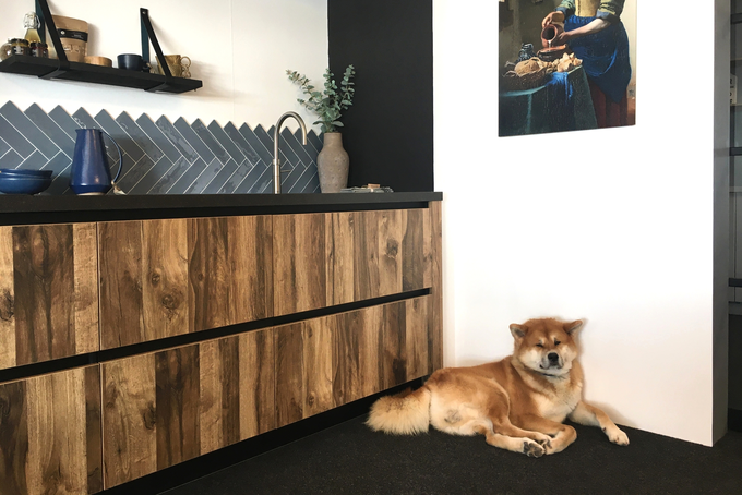 Showroom